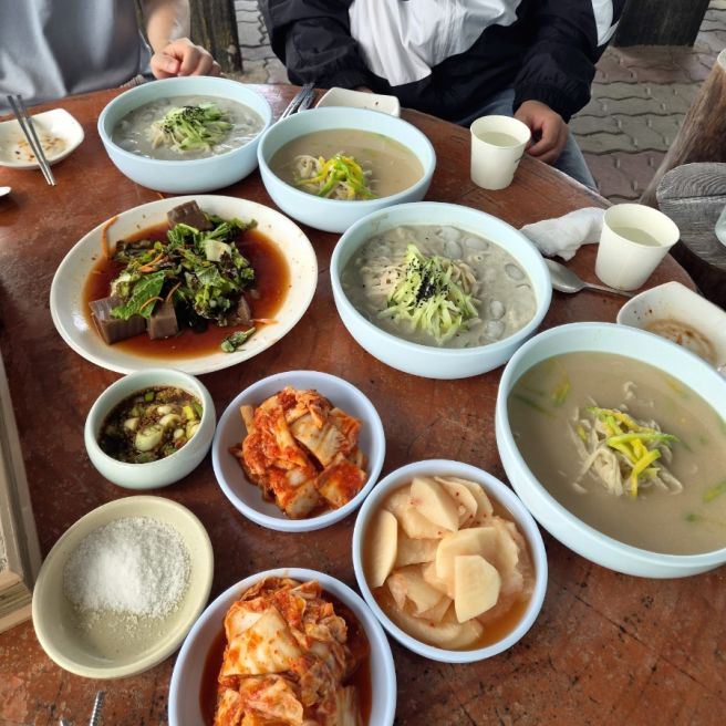 경주 애견동반 식당이자 백반기행 찐 맛집"삼릉고향손칼국수"리뷰