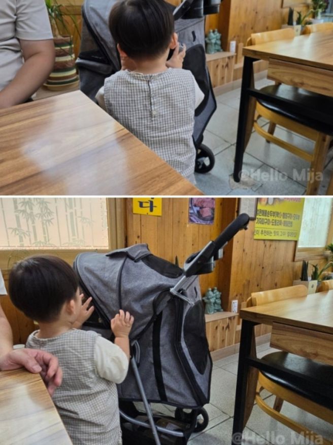 속초 최옥란 할머니 순두부 아이와 반려견 동반 후기