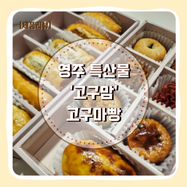 [고구맘] 고구마빵 카페 영주 특산물 건강 간식