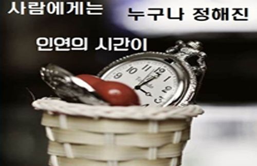 뷰어 이미지