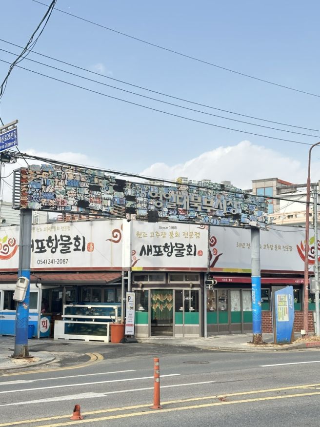 [포항맛집추천] 포항 영일대 물회 맛집 새포항물회집, 전통 고추장 물회 제대로 먹고 온 후기!