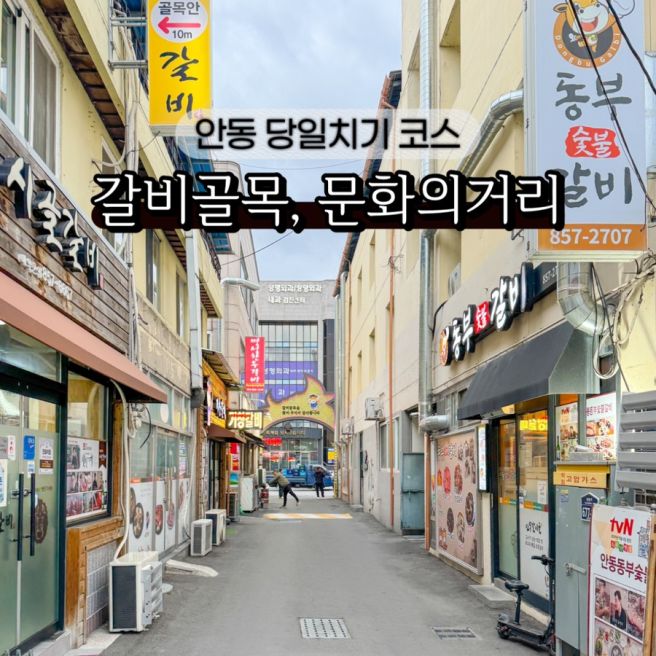 경북 안동 가볼만한곳 안동 한우 마늘 갈비골목 먹거리