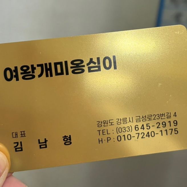 강릉중앙시장장칼국수 맛집 여왕개미식당