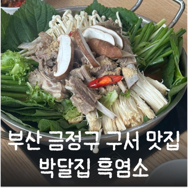 부산 금정구 구서동 맛집 밥집 박달집 흑염소