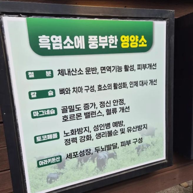 [제주 이도이동] 제주 흑염소 '안다미로 늘봄 흑염소'