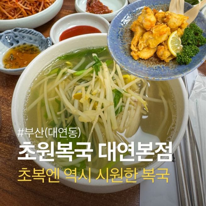 초복 보양식 추천 대연동 복국 맛집 초원복국 대연본점