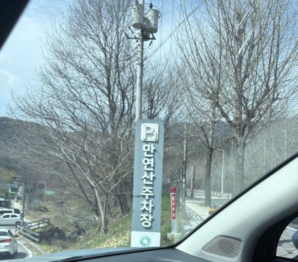 26.03.31 화순 동구리호수공원 벚꽃 (주차, 맛집)