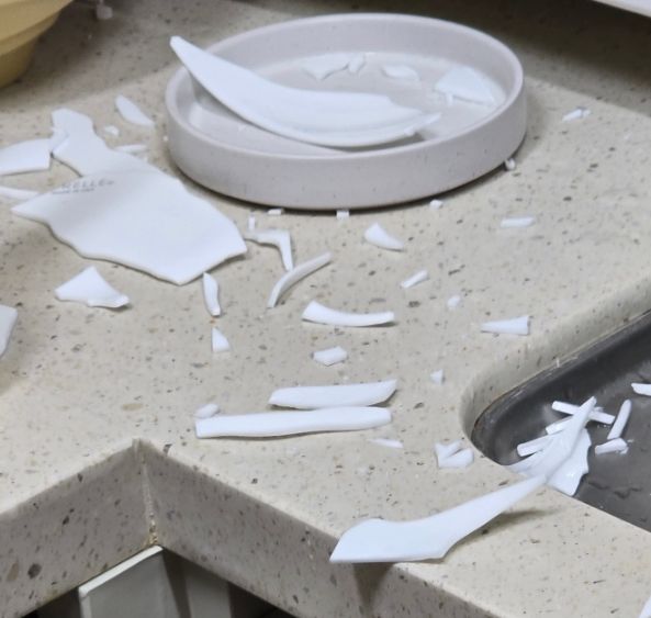 2024 9月 넷째 주 : 외식과 쇼핑의 향연