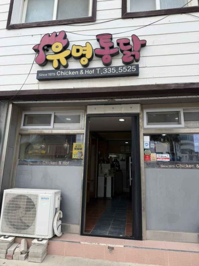 강원도 안반데기 차박 화장실 송어회 횡계유명통닭 강릉여행 바로방 초당옥수수커피