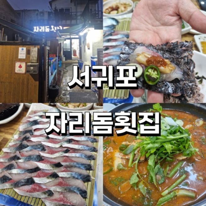 내돈내산 서귀포 도민이 찾는 횟집 [자리돔횟집] 솔직 후기 +고등어회 맛있게 먹는법