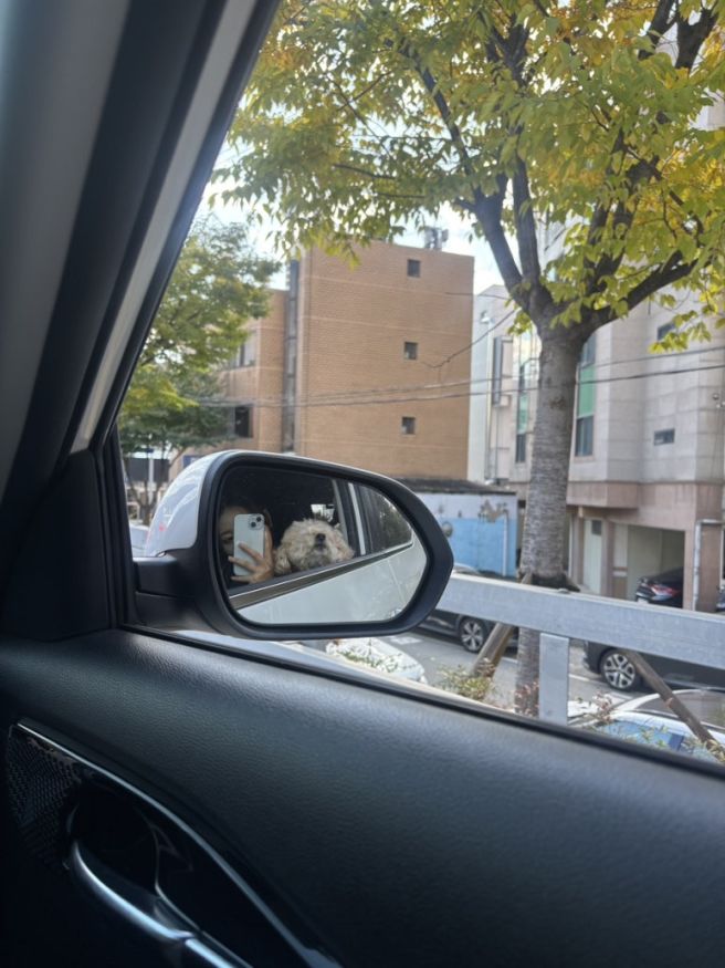 가창 애견동반 식당 자연속에서 먹는 삼겹살 맛집 '숲속의집'