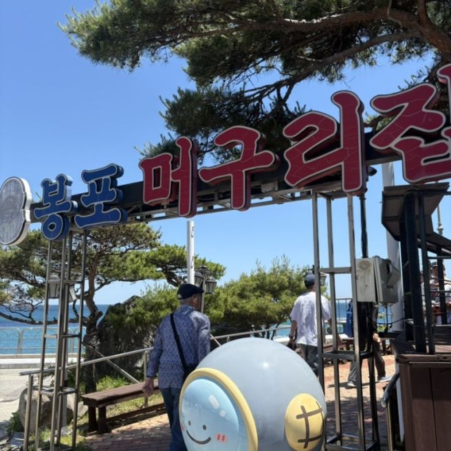 속초 물회 맛집 봉포머구리집 내돈내산 탐방기