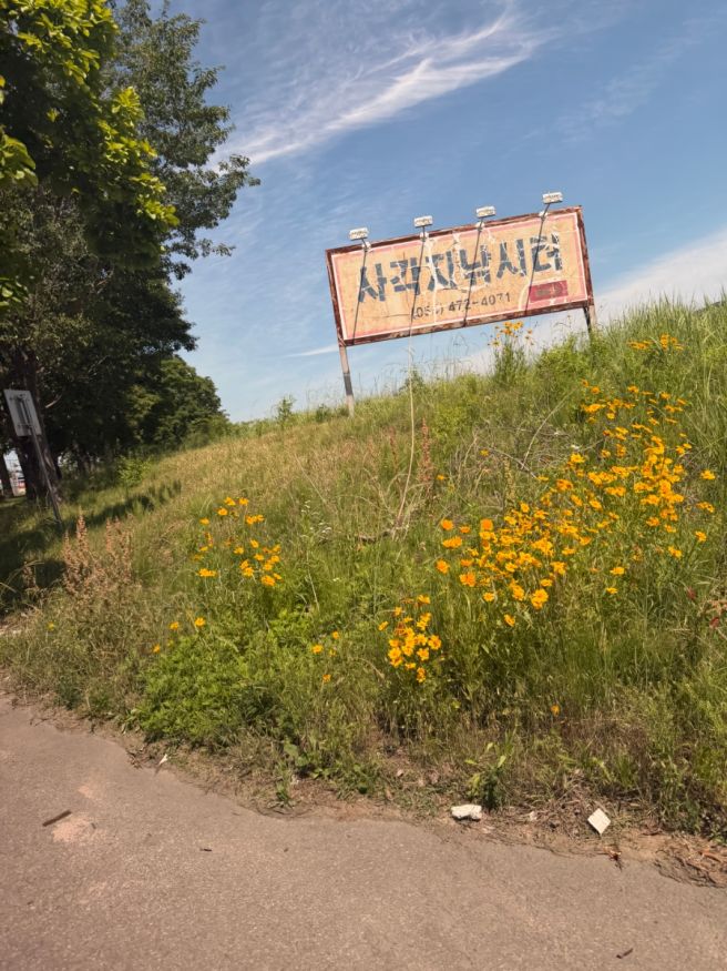 대구 근교 어탕 국수 맛집, 새월식당[구미]