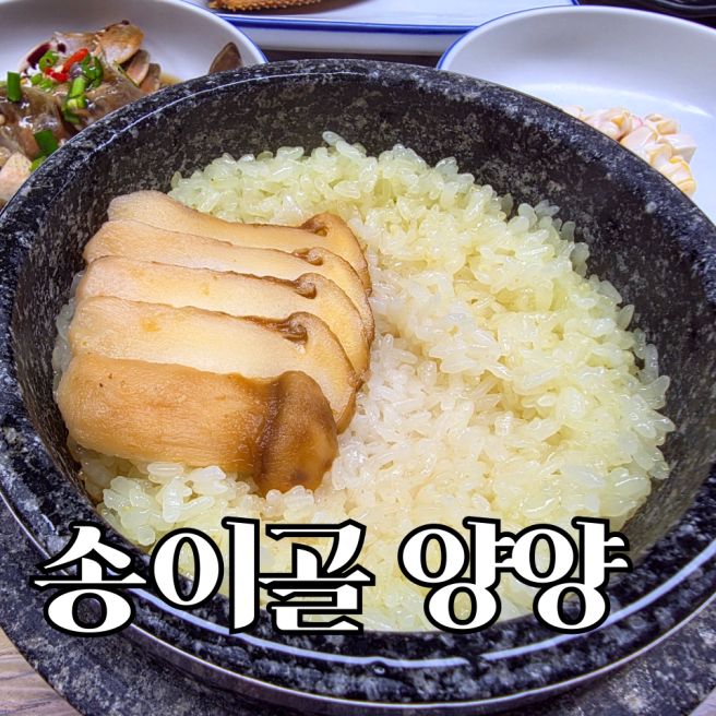 송이골 양양 쏠비치 주변 한정식 맛집 | 매번 찾는 이 곳