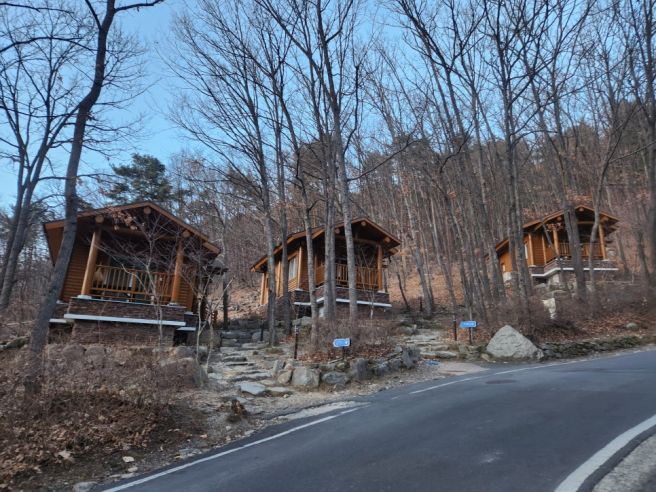 겨울 빙벽보러 비슬산자연휴양림 은행나무 숲속의집