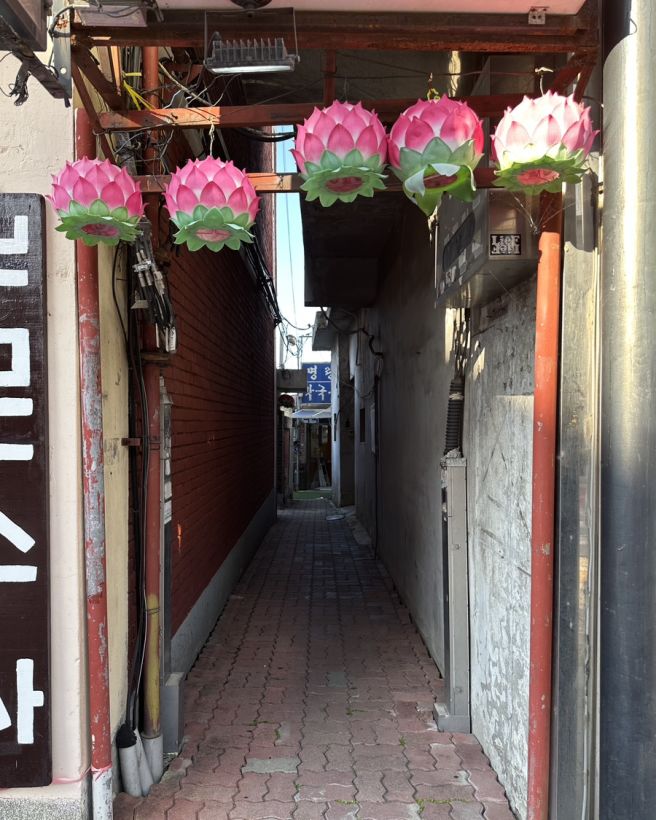 원주 중앙동 추억의 노포, 물막국수와 수육이 맛있는 명랑막국수