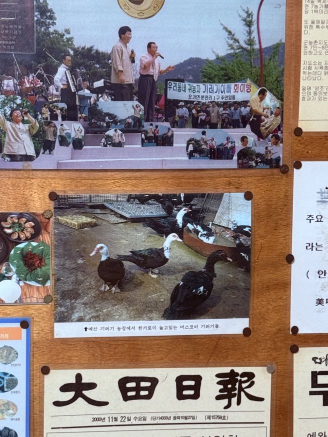 예산 현지인 맛집 노포감성 제대로 신분준할머니 기러기 칼국수 내돈내산