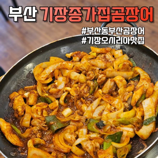 기장종가집곰장어｜기장곰장어맛집 제대로 느낀 양념곰장어 후기