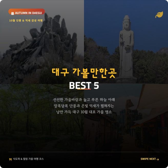 대구에서 10월 가볼만한곳 + 가을 여행지 베스트 5 억새와 단풍 명소까지 총정리
