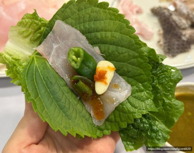영란횟집 목포 여름보양식 민어회 전문점 민어코스요리 목포민어의거리 민어한상 민어맛집