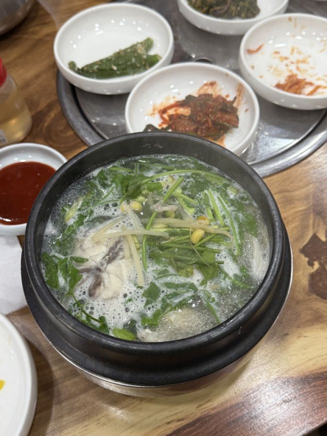 [부산] 당일치기 혼자여행 가볼만한곳 / 남해복국 충무시장 자갈치시장 부평깡통시장 비프광장호떡
