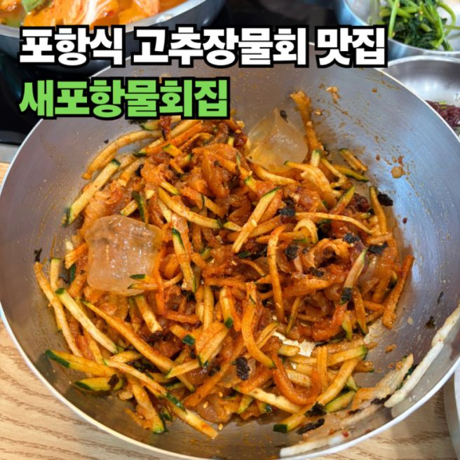 “현지인도 웨이팅?” 포항 정통 고추장 물회 맛집 새포항물회집