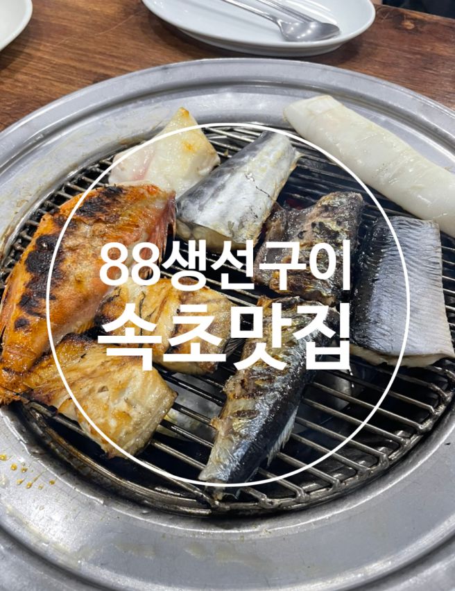 속초 88생선구이 맛잘알이 추천해준 속초 맛집