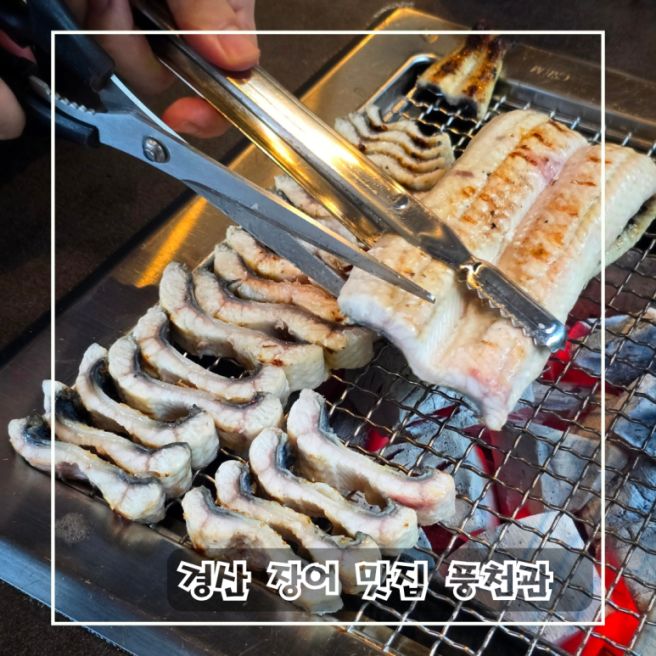 현지인 추천 경산 장어 맛집 모임 하기 좋은 풍천관