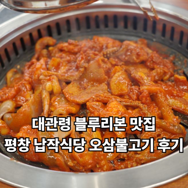 평창 납작식당 오삼불고기 대관령 블루리본 맛집 내돈내산 후기