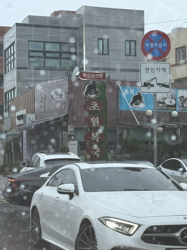 부산 복어집 찐 맛집 추천 “ 초원 복국 ”