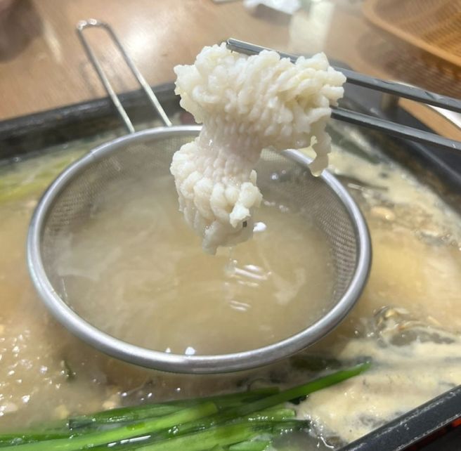 고흥맛집 여름철 보양식 별미 하모 샤브샤브 후기 안성장어나라