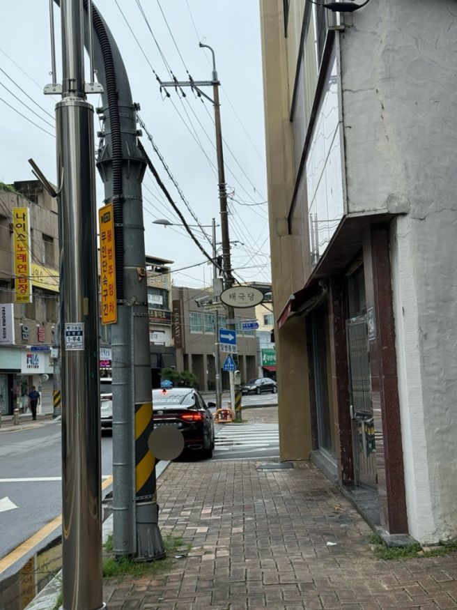영주 태극당 | 카스테라 인절미 맛집 내돈내산 솔직 후기