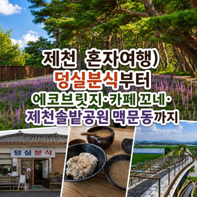 제천 혼자 당일치기 여행) 덩실분식부터 솔밭공원 맥문동·카페 꼬네까지
