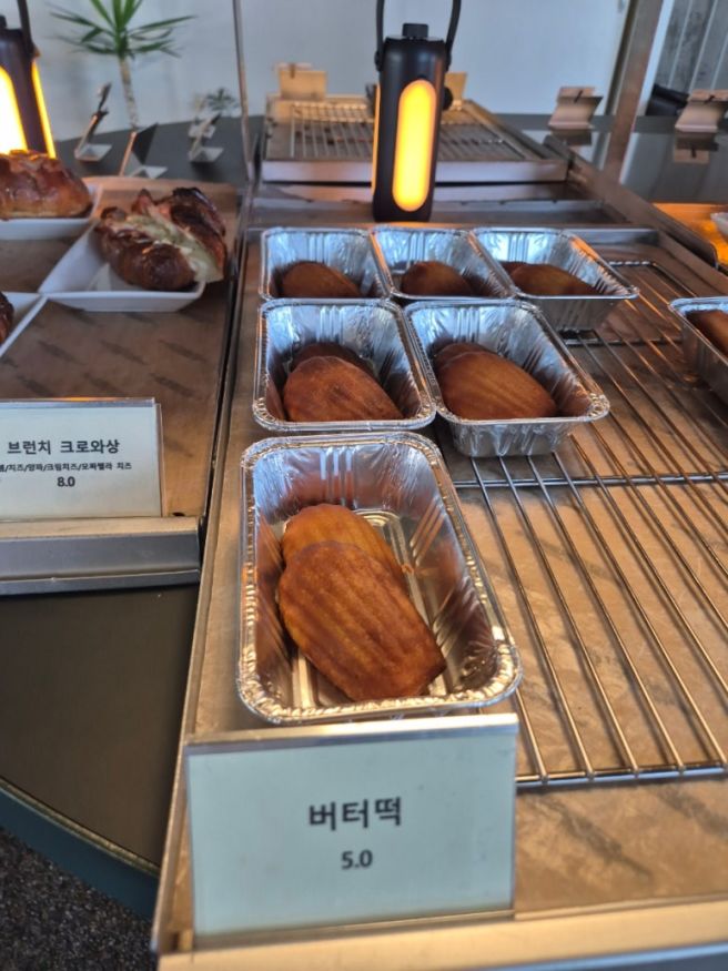 [영주] 빵 맛집 대형 카페, 뷰 좋은 녹스고지 (내돈내산 재방문)