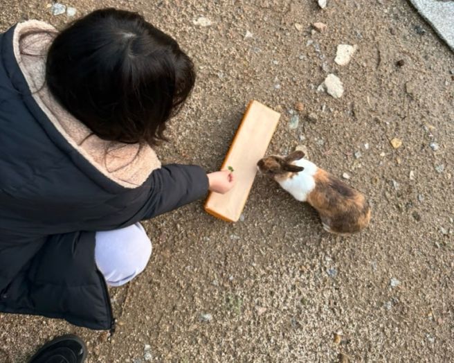 충주 수안보 단체 펜션 _ 자연 속 힐링 숙소 송림농원펜션 후기
