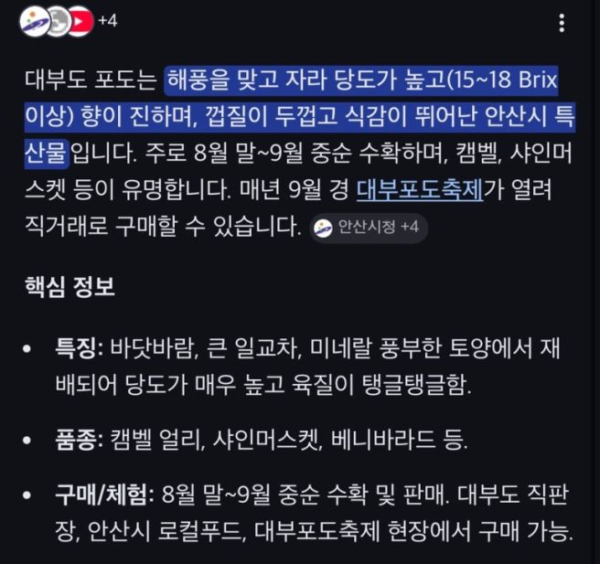 [내돈내산] 한국와인 소믈리에의 한국 와이너리 추천🍷 - 대부도 그랑꼬또 와이너리 방문시음/구매...