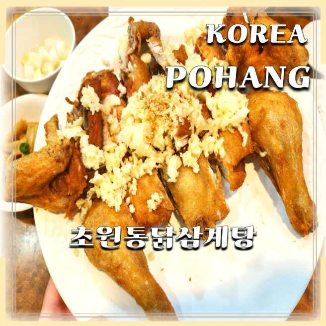 초복 삼계탕, 마늘통닭 포항복날 보양식 초원통닭삼계탕