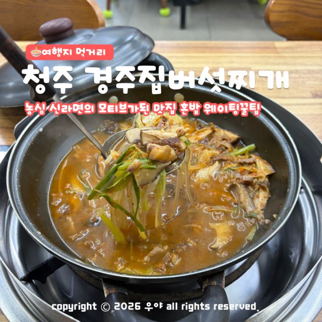 "농심 신라면 모티브" 청주 경주집 버섯찌개 포장 웨이팅 팁! 성안길 혼밥 맛집