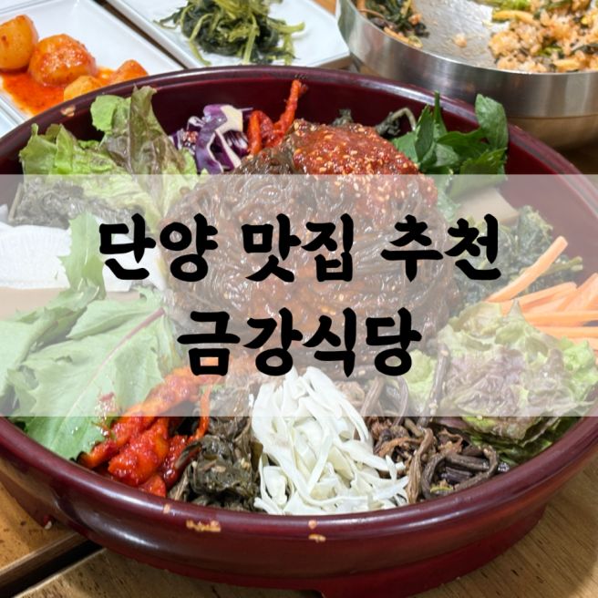 단양 맛집 금강식당 | 산채더덕백반 산채비빔밥 가족식사 추천
