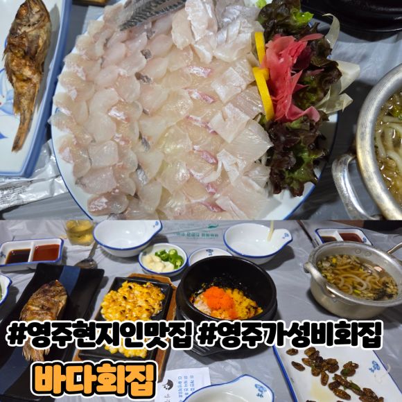 영주 현지인 맛집 좋은 공간과 가성비 좋은 횟집 바다회집